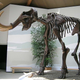 Image for article titled Should We Try To Resurrect Extinct Species?